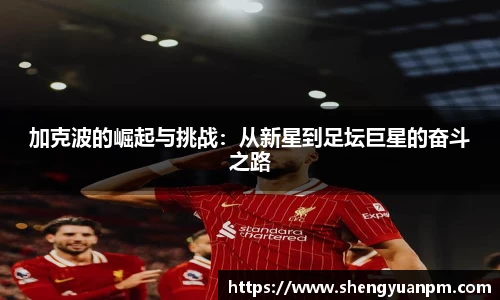 万事娱乐官网登陆入口